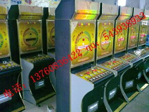 森林舞會游戲機價格,廣州森林舞會游戲機玩法技巧供應商 廣州佳美科技